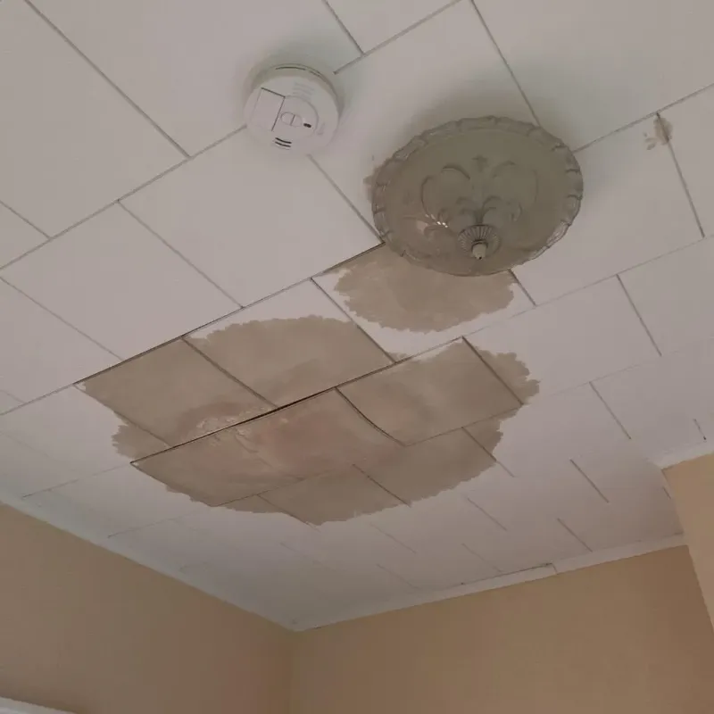 Ceiling Water Damage Repair in Bedford, TX