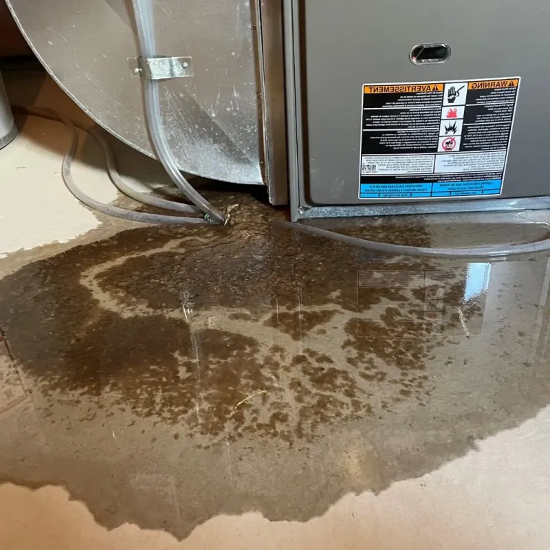 Pipe Burst and Leak Restoration in Bedford, TX